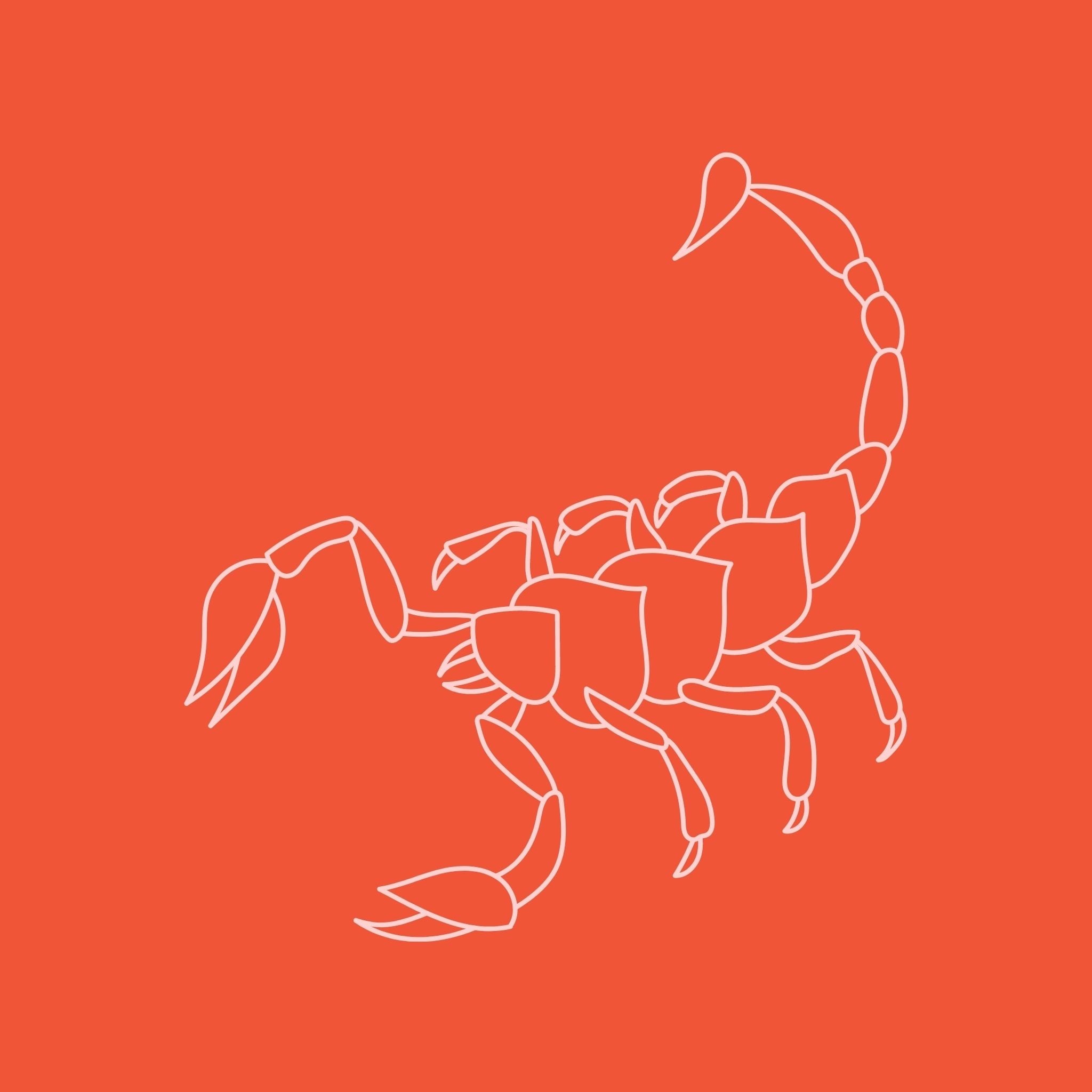 Scorpio – Confía Collective