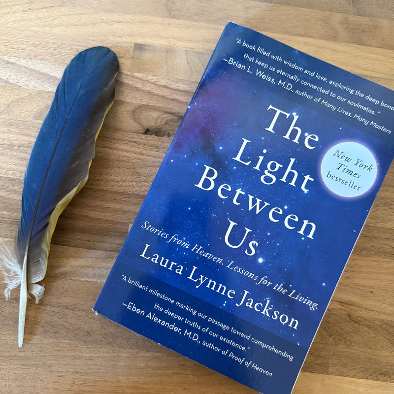 The Light Between Us Book