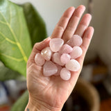 Rose Quartz Crystal Polished Piece