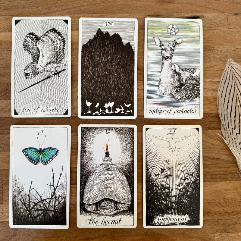 The Wild Unknown Tarot Deck & Guidebook