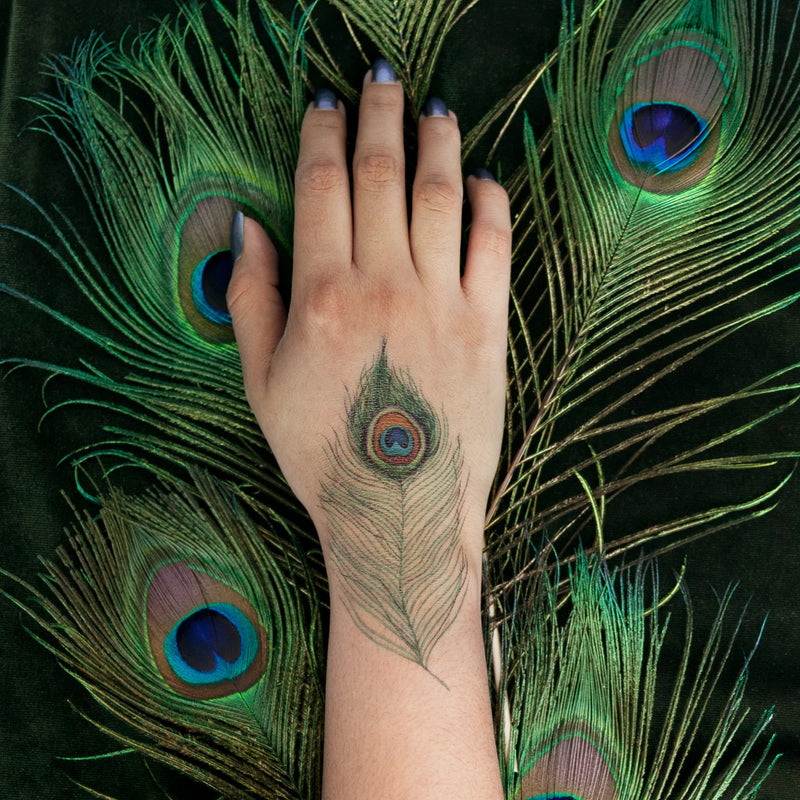 Peacock Feather Temporary Tattoo